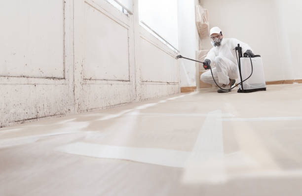 24/7 Emergency Crawl Space Mold Remediation experts in Unionville, GA