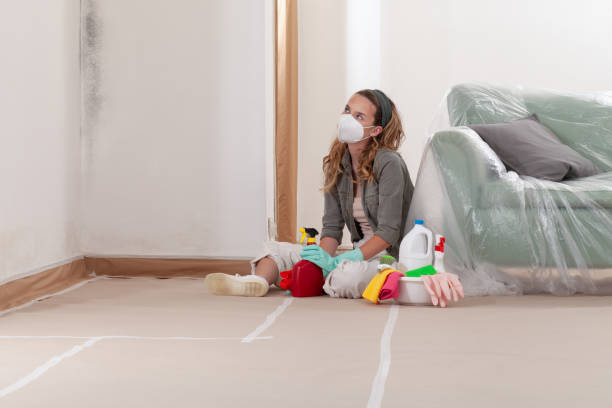 Reliable Crawl Space Mold Remediation contractor in Unionville, GA by 24 Hour Mold Removal