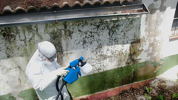 Top rated local Crawl Space Mold Remediation specialists in Unionville, GA